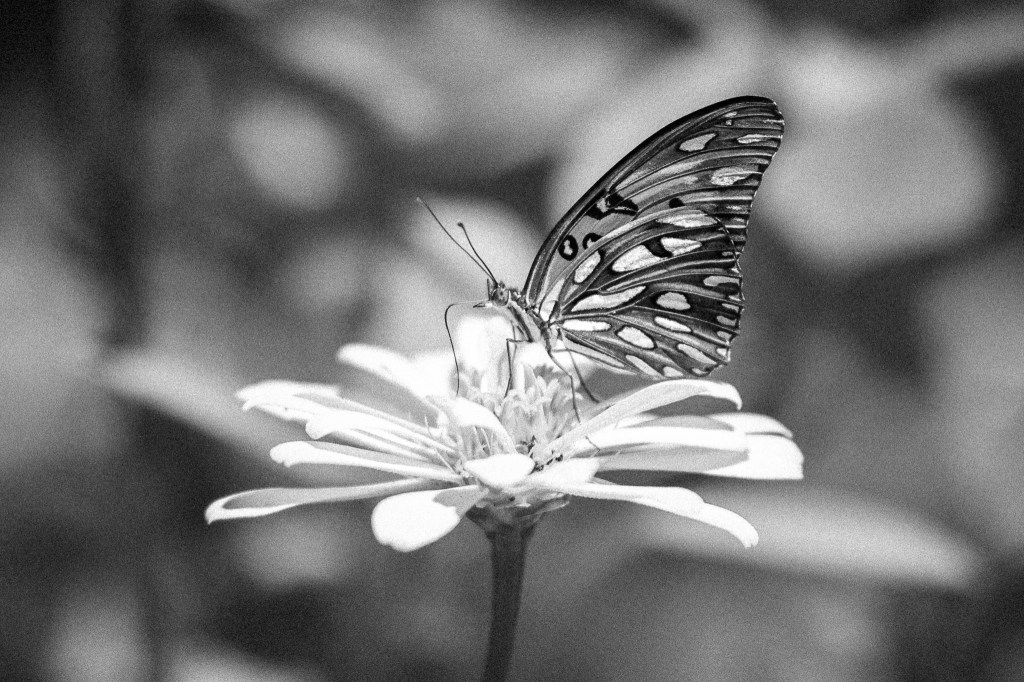 Why Waiting for Certainty Is More Expensive Than&nbsp;Deciding